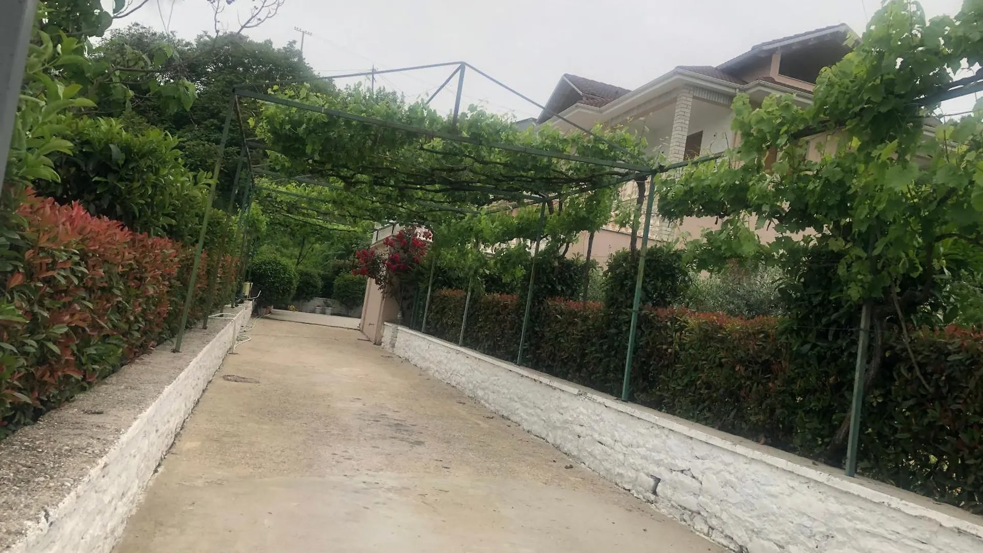 Homestay Dirala Guest House Lazarat